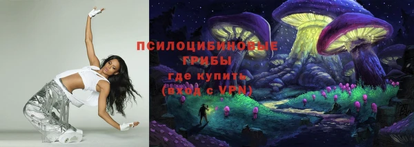 МДПВ Мегион