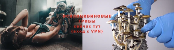 скорость Медногорск