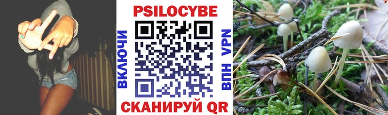 Галлюциногенные грибы GOLDEN TEACHER  Купить где  Таганрог 